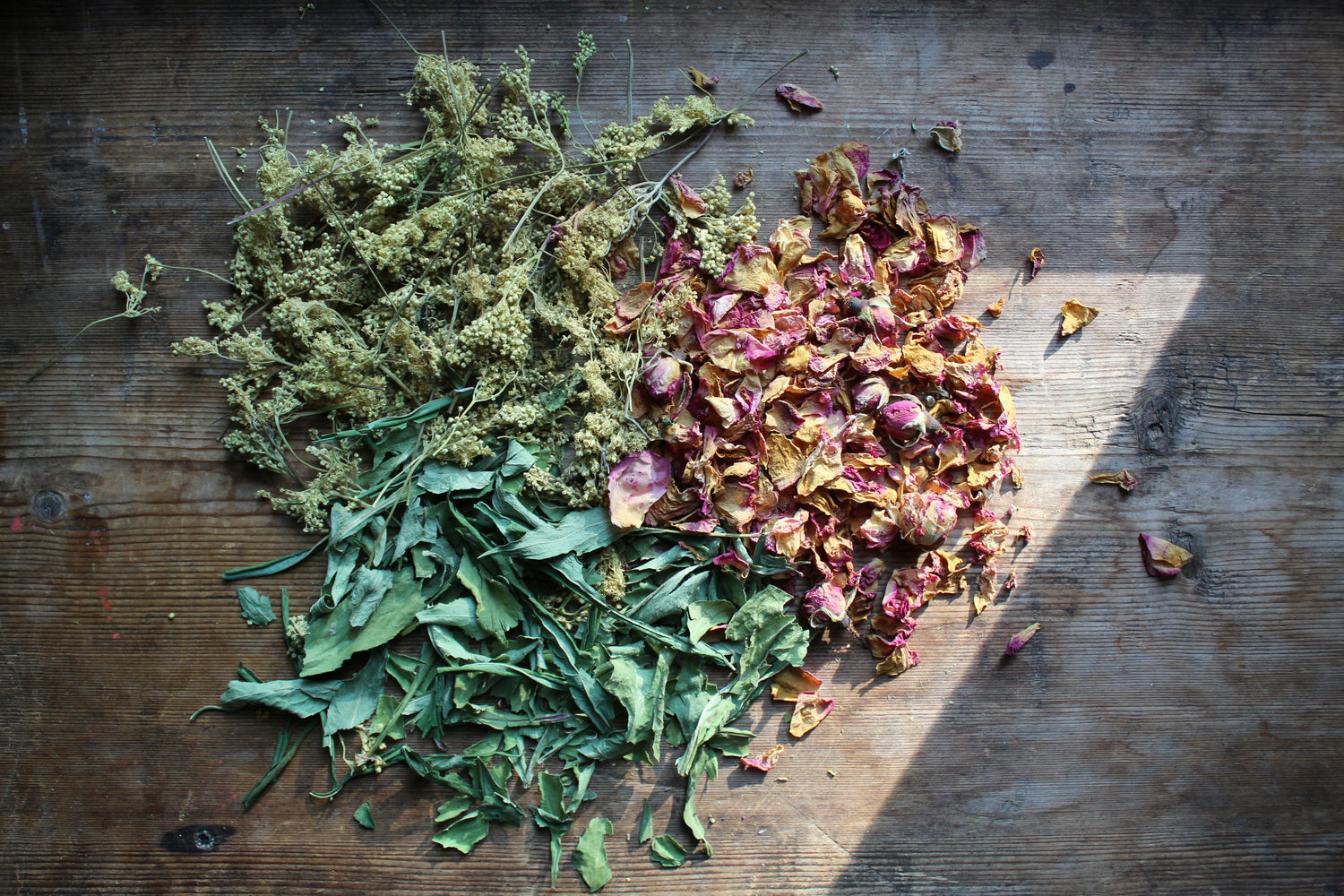 Botanicals & Magical Herbs