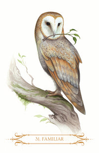 A Compendium of Witches Oracle Deck, example card 3