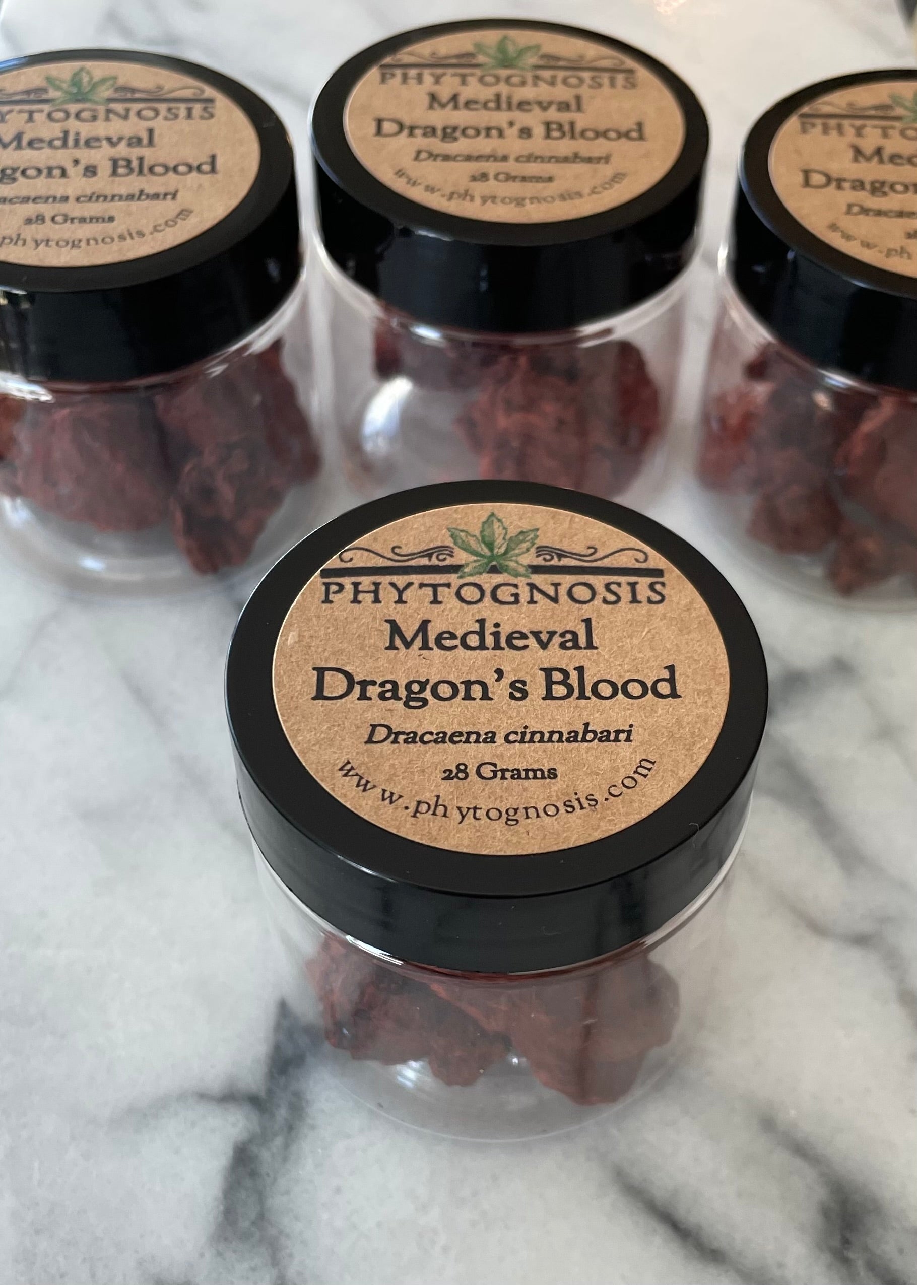Medieval Dragon's Blood (Dracaena cinnabari)