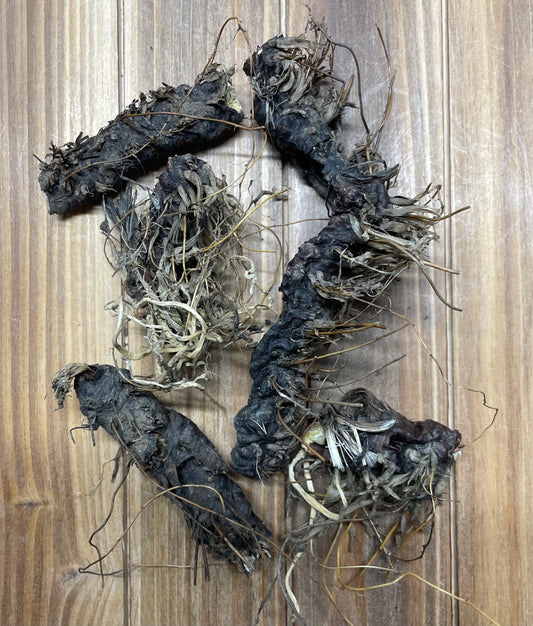 Authentic Jezebel Root from Louisiana iris plant for hoodoo practices