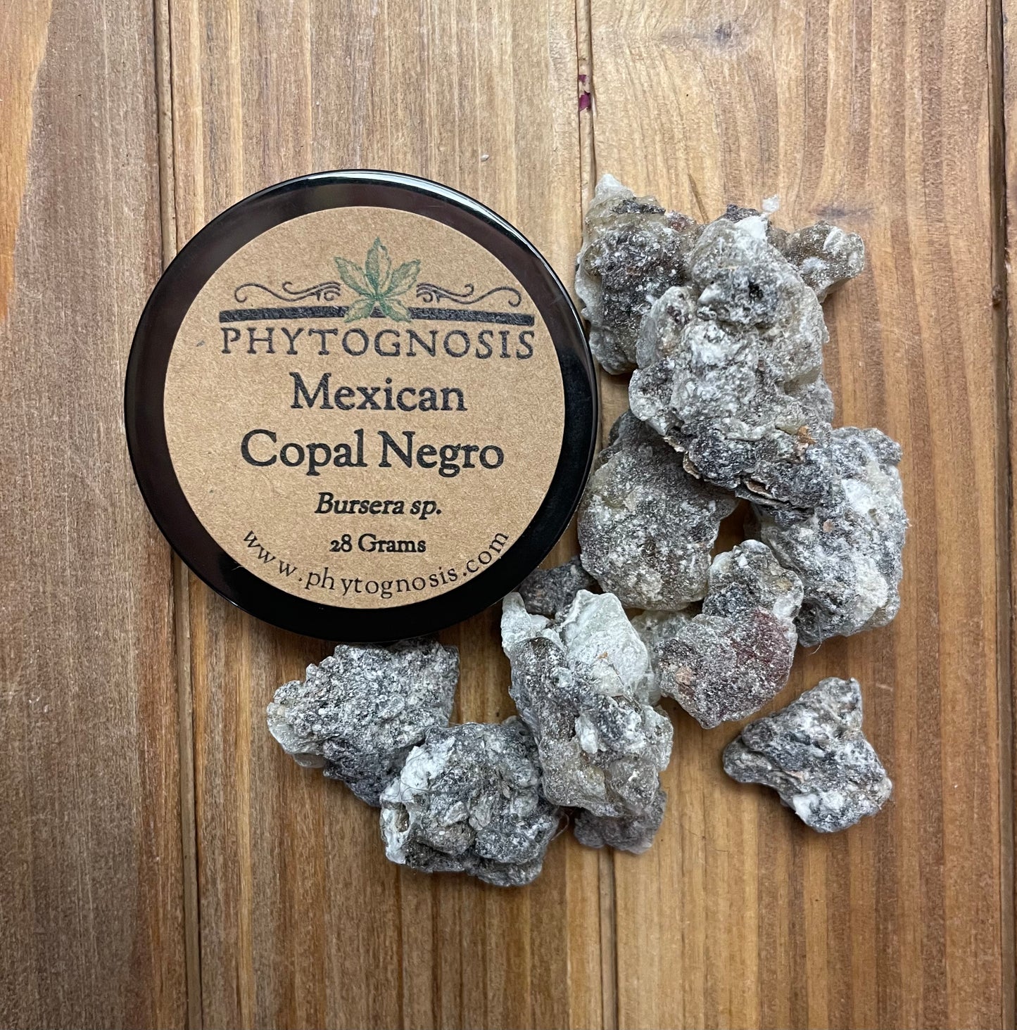 Copal blanco resin Phytognosis