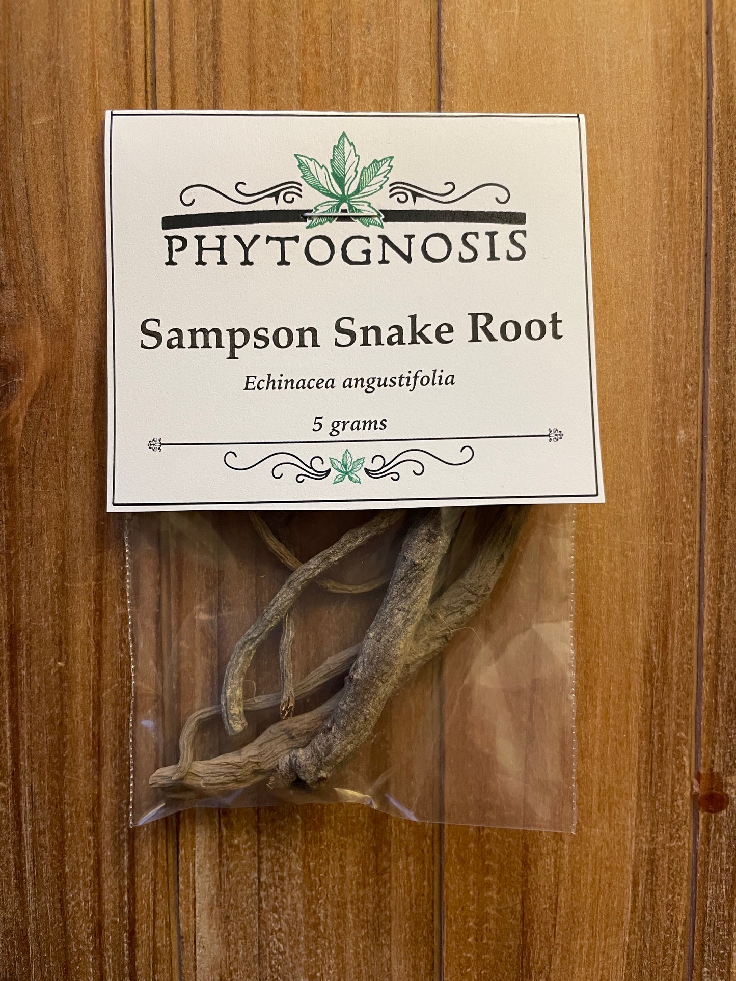 Sampson Snake Root (Echinacea angustifolia)