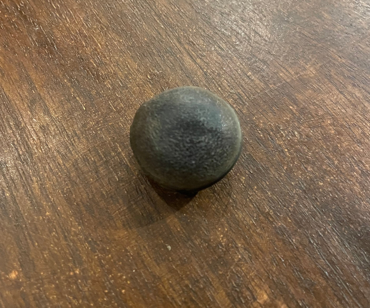 Single top of Ojo de Venado Deer's Eye seed Mucuna pruriens, natural dark brown apotropaic charm against evil eye