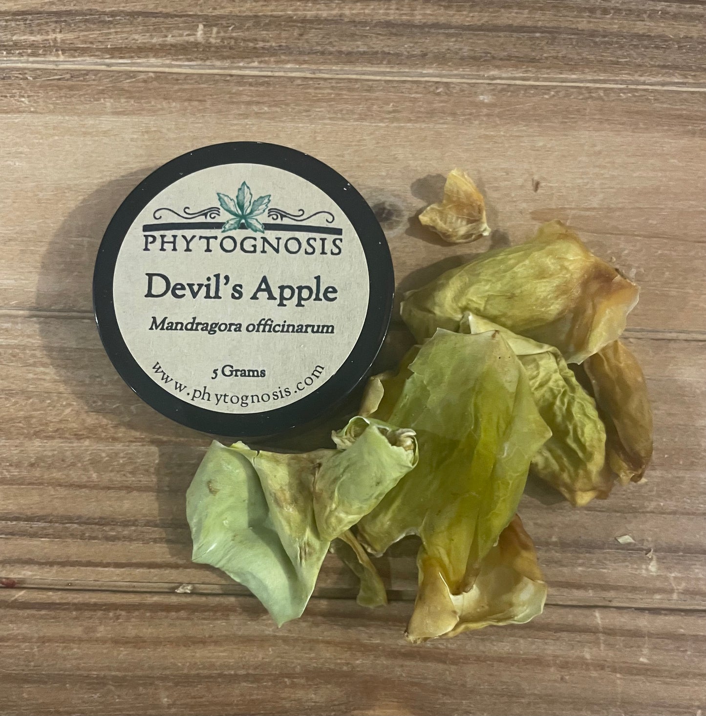 Dried mandrake fruit skins with a 'Phytognosis' container on a wooden surface