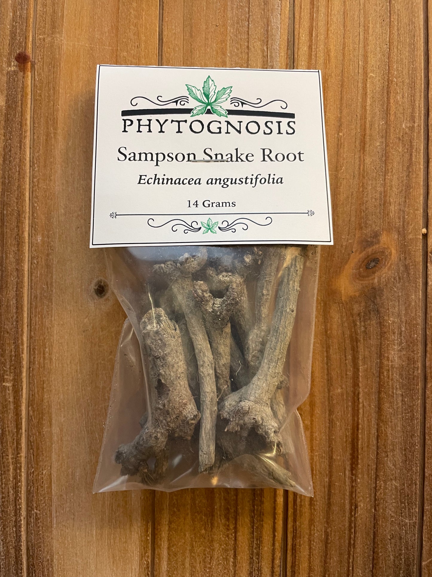 Sampson Snake Root (Echinacea angustifolia)