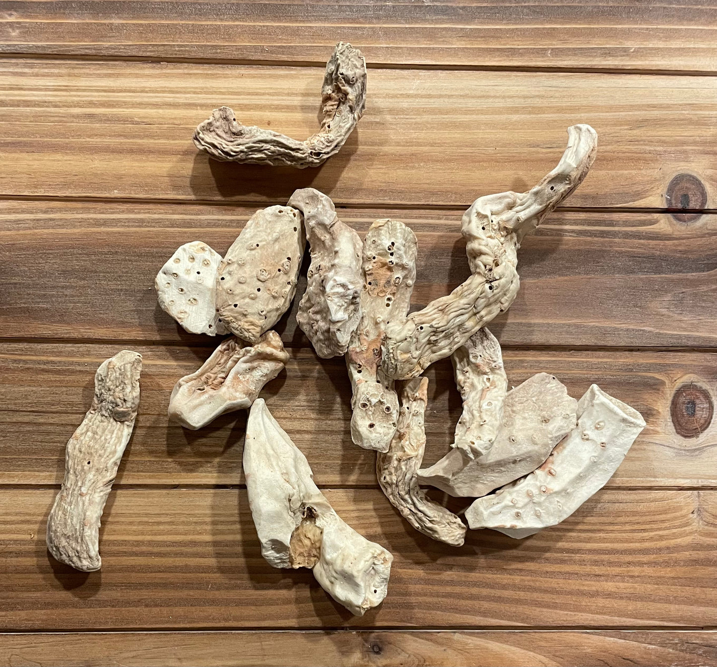 Whole Queen Elizabeth Root