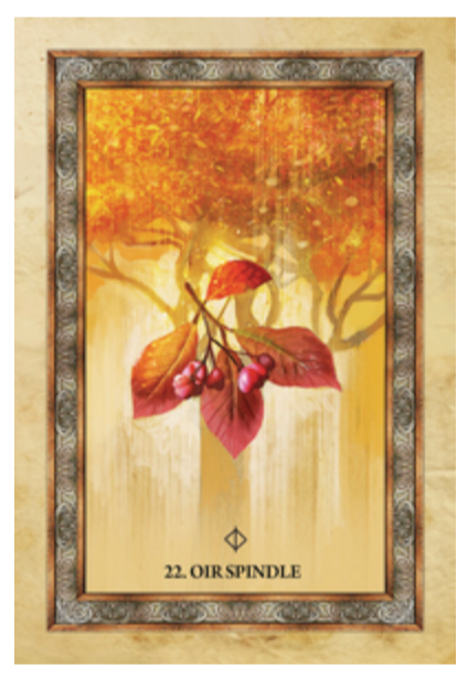Celtic Tree Oracle, example three
