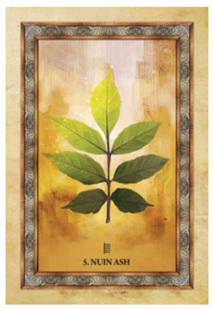 Celtic Tree Oracle, example one