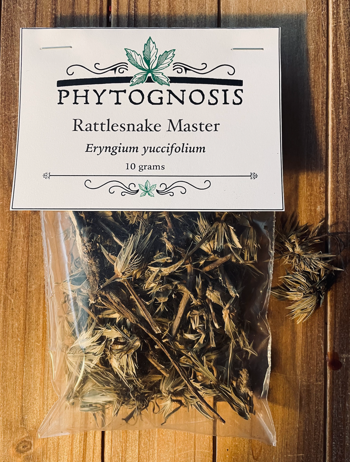 Rattlesnake Master (Eryngium yuccifolium)