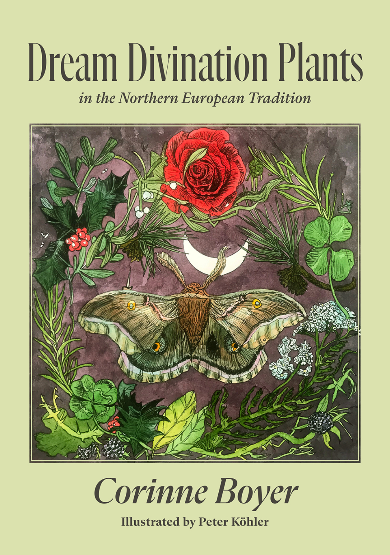 Dream Divination Plants