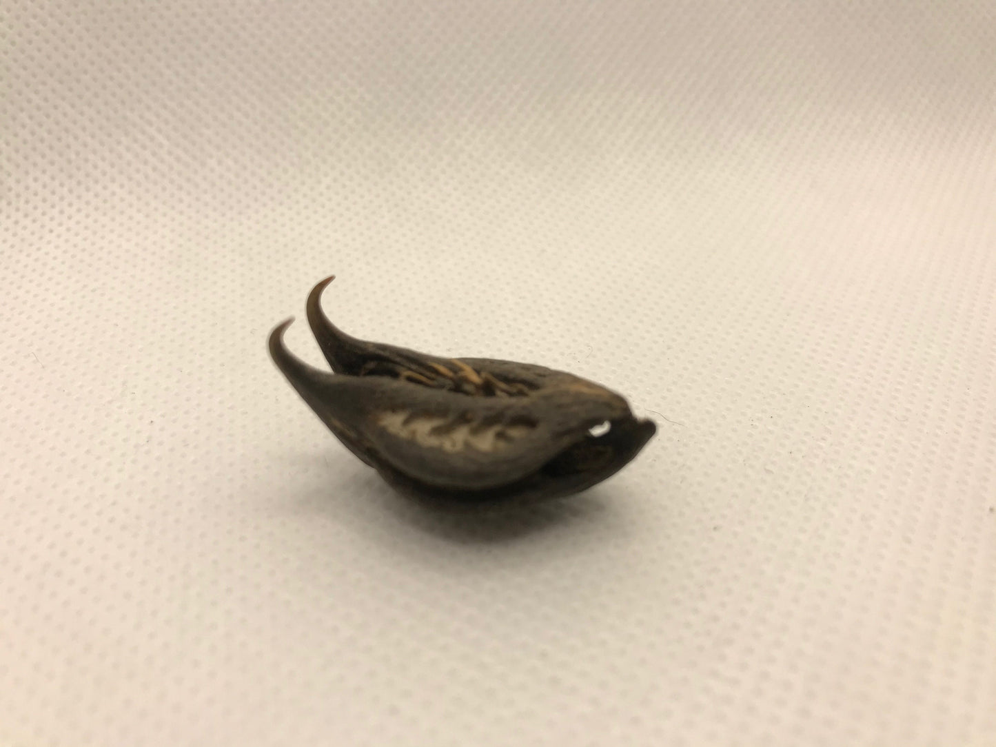 Bat's Head Pod