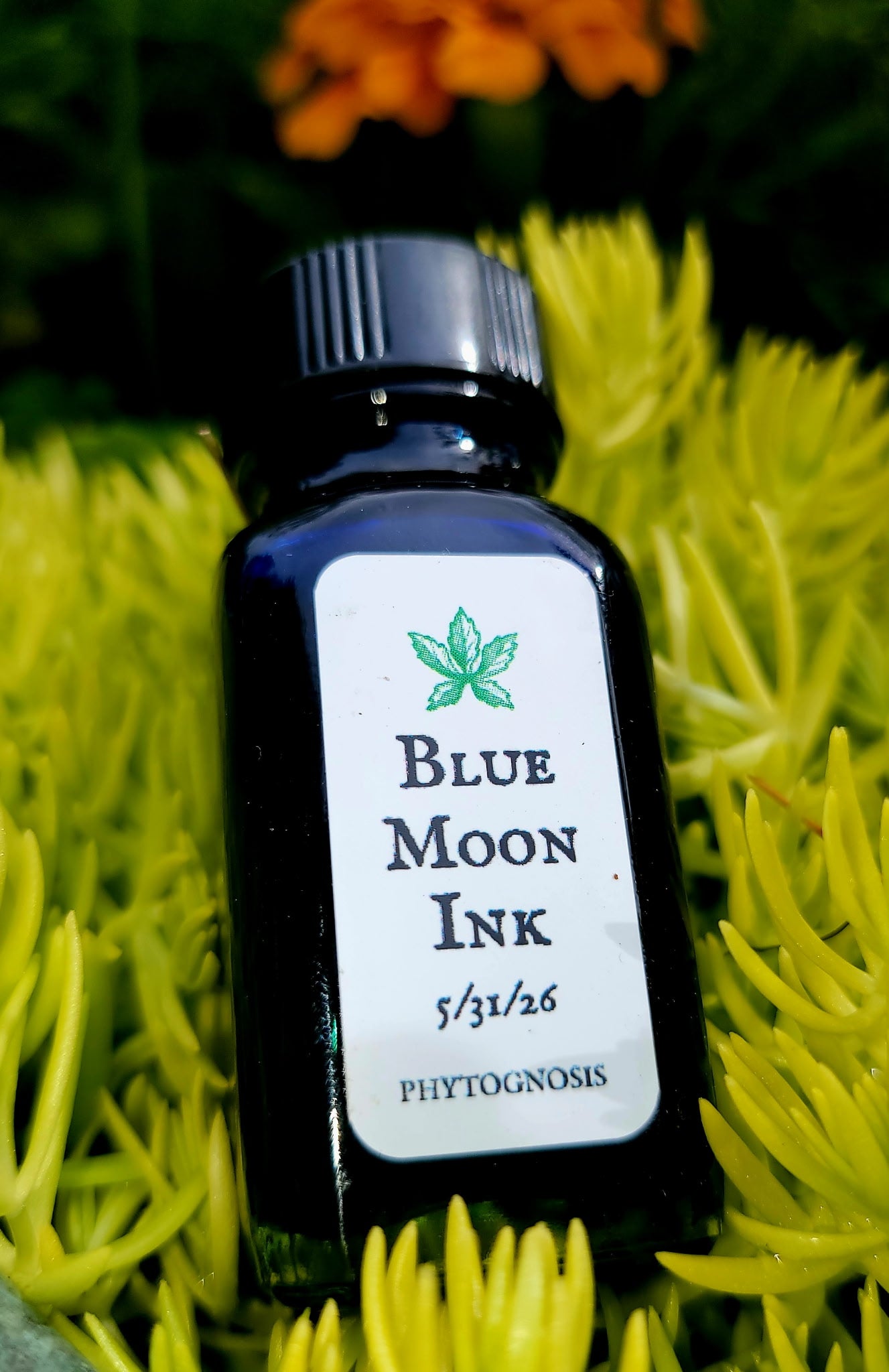 Bottle of Blue Moon Ink with a white label on a green floral background