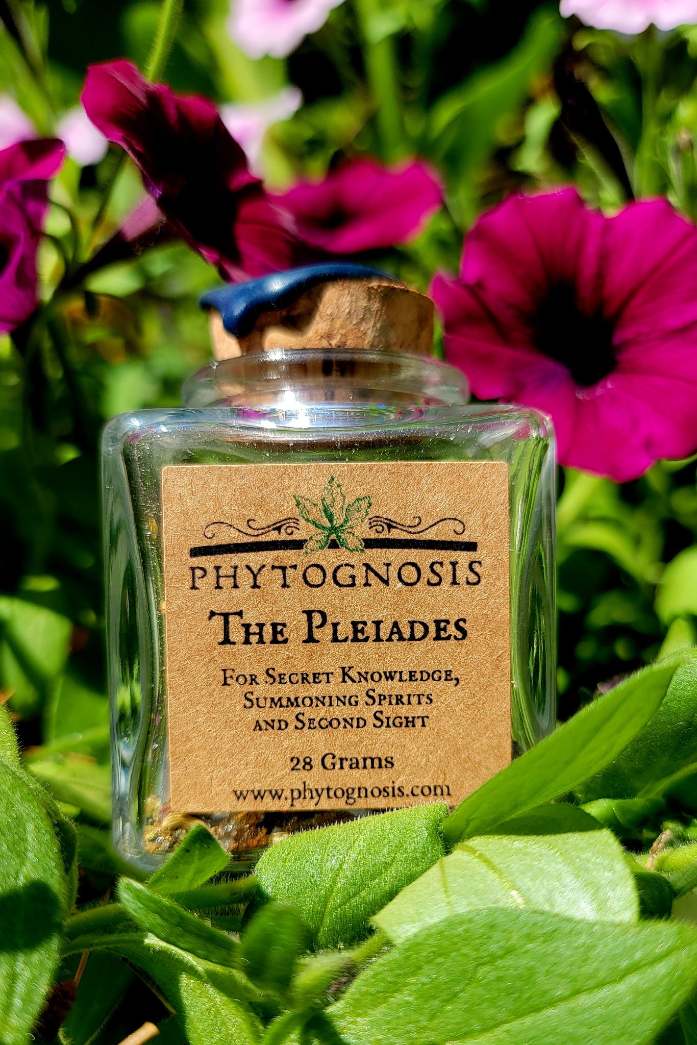 Glass bottle labeled 'Phytognosis The Pleiades' surrounded by flowers