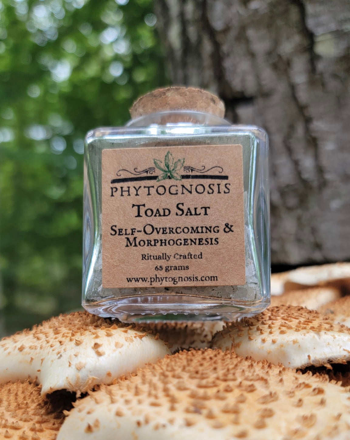 Toad Salt - A salt for self-overcoming and morphogenesis