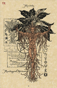 The Magickal Botanical Oracle