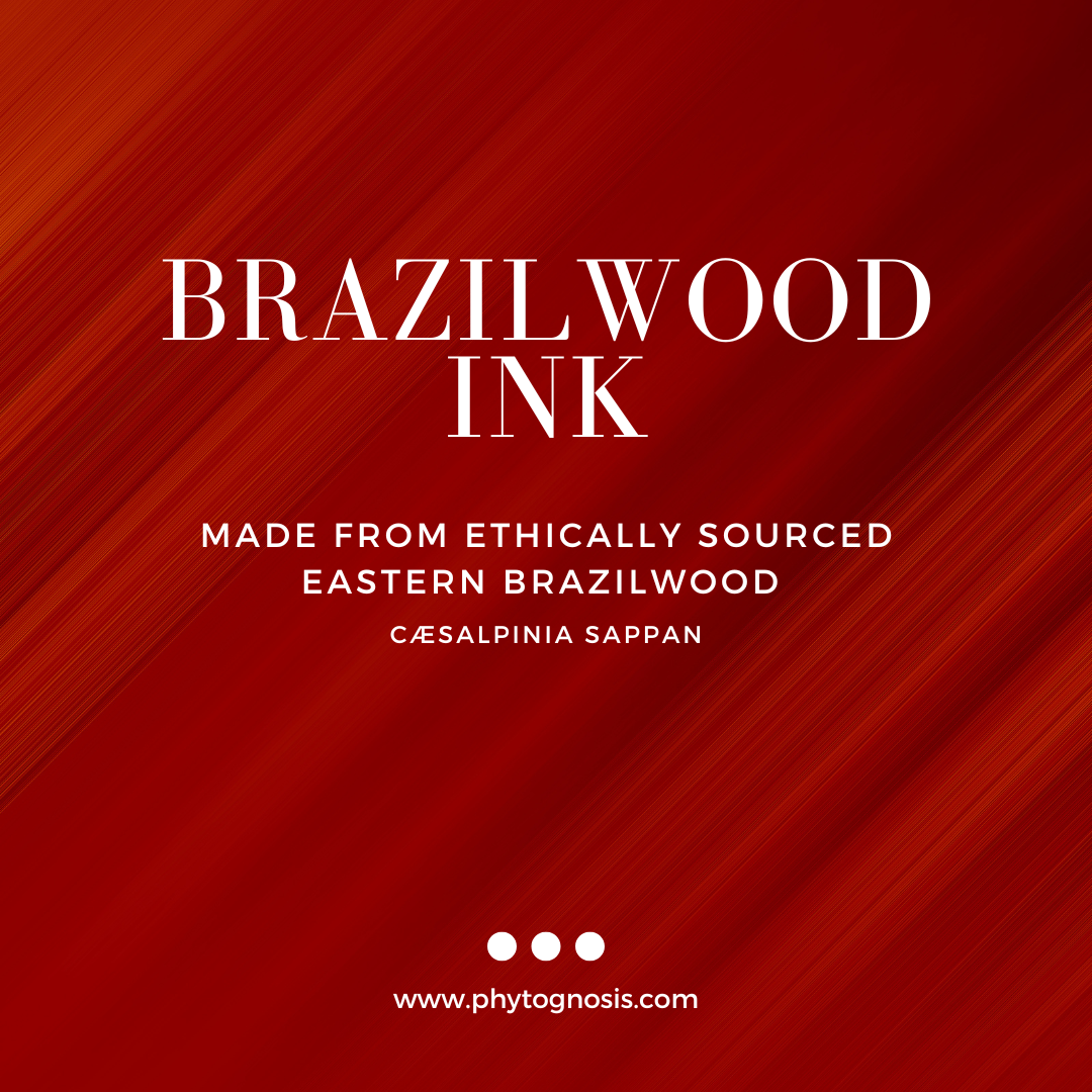 Brazilwood Ink - Medieval Red Ink