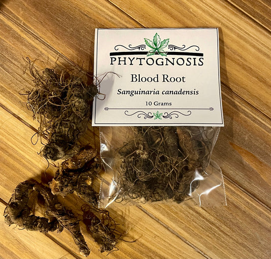 Whole Blood Root (Sanguinaria canadensis)