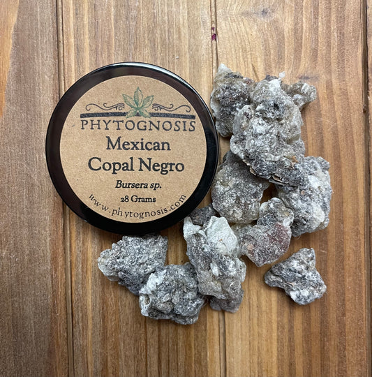 Copal blanco resin Phytognosis