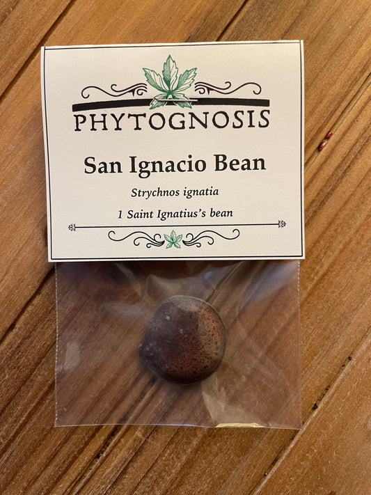 Saint Ignatius Beans (Strychnos ignatii)