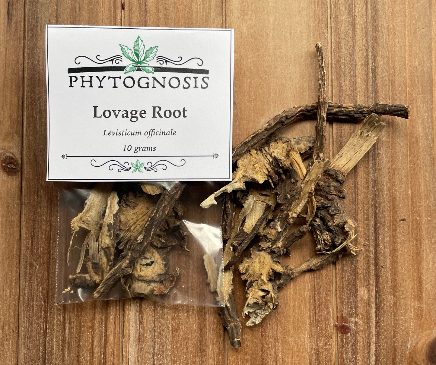 Phytognosis Lovage Root pieces for love spells and attraction magic rituals