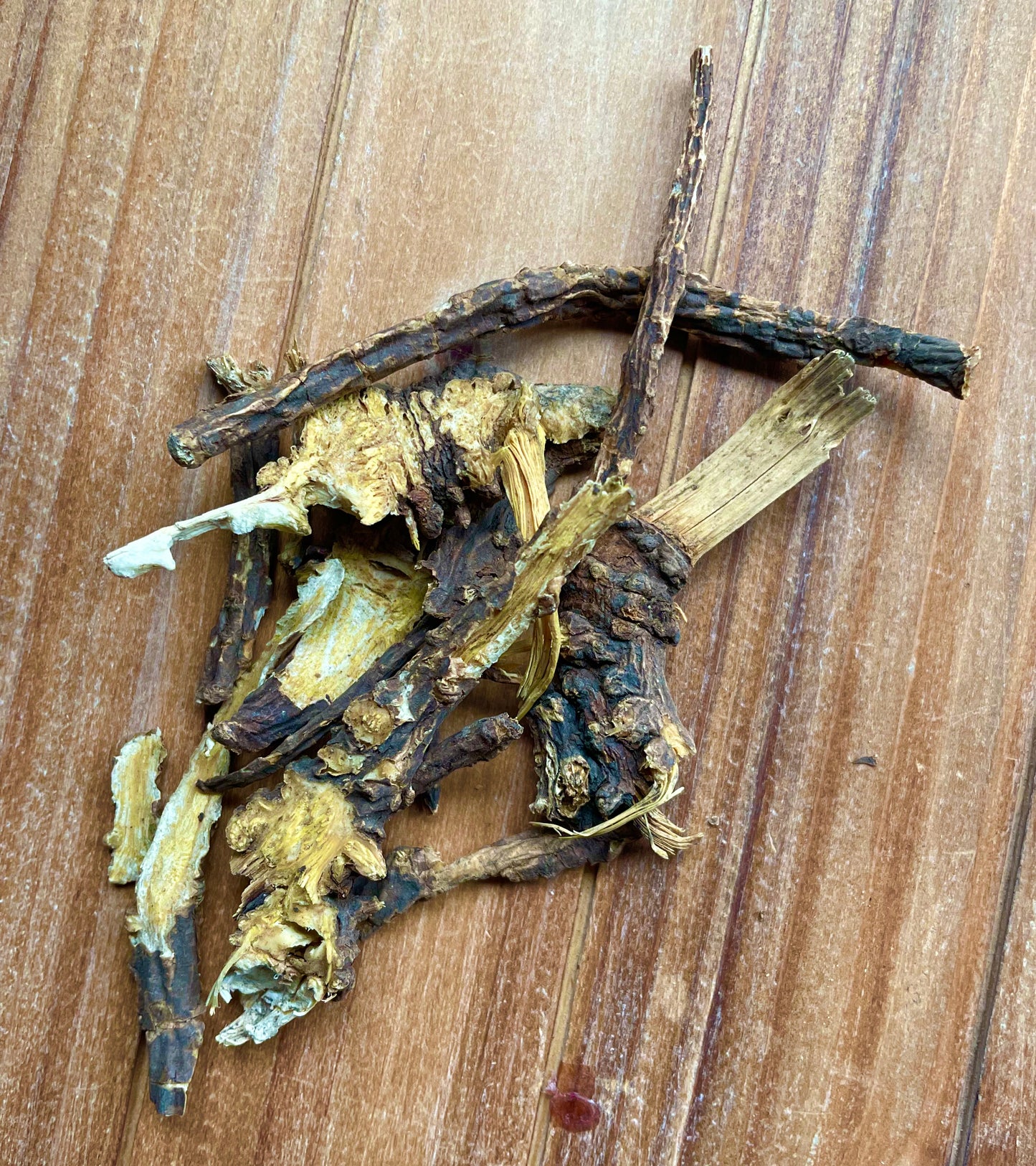 Phytognosis Lovage Root botanical used in mojo bags spell jars and ritual baths for romance attraction