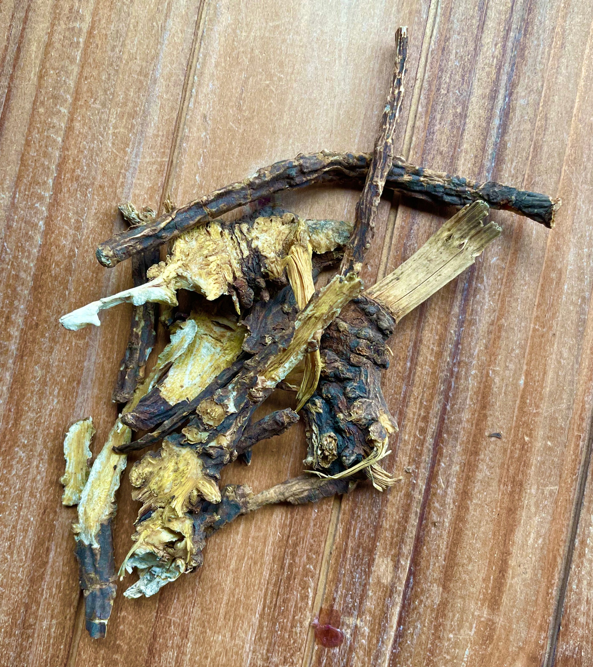 Phytognosis Lovage Root botanical used in mojo bags spell jars and ritual baths for romance attraction