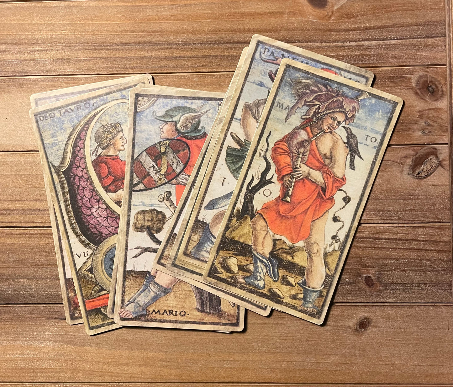 anima antiqua sola Busca Tarot phytognosis cards