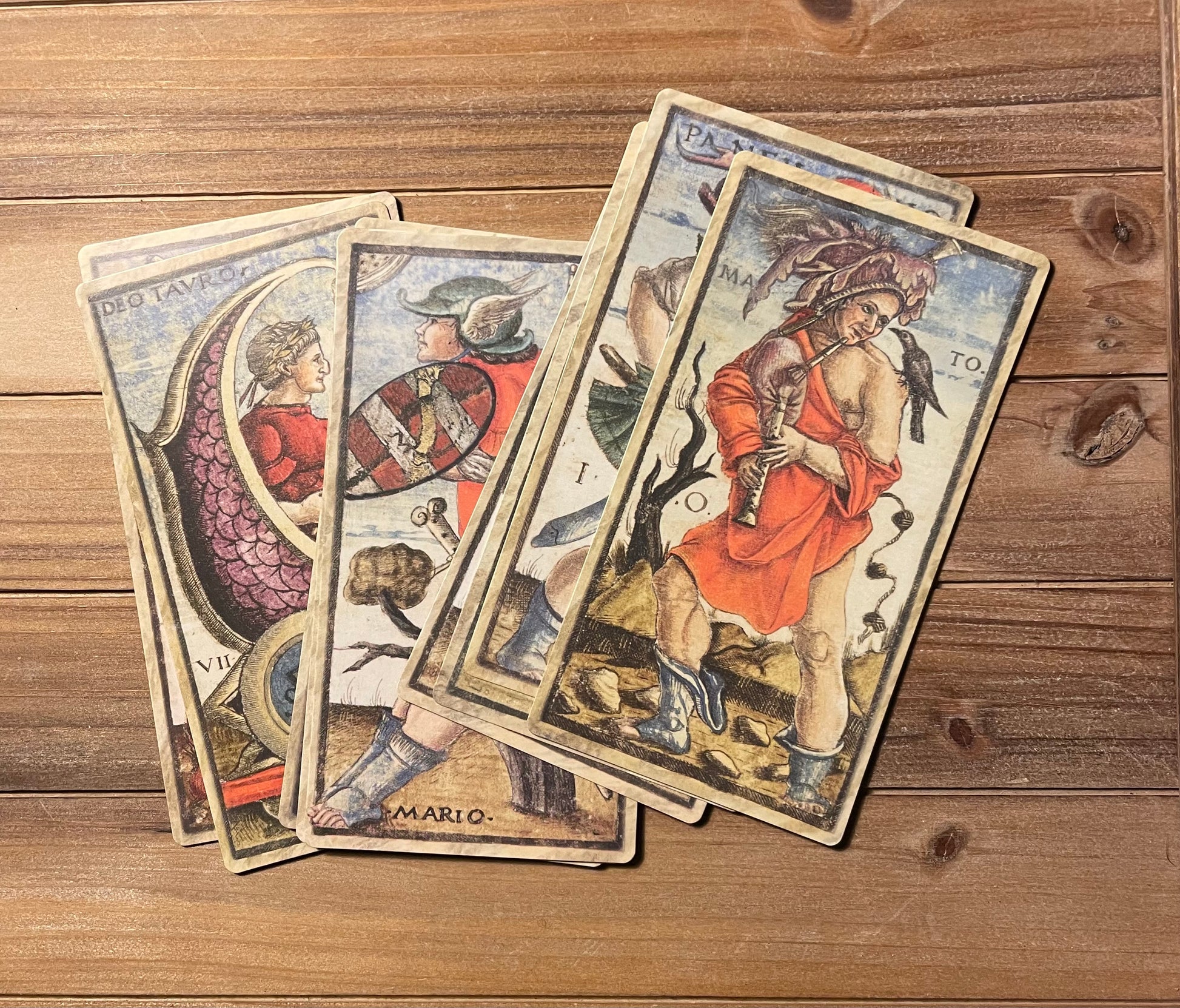 anima antiqua sola Busca Tarot phytognosis cards
