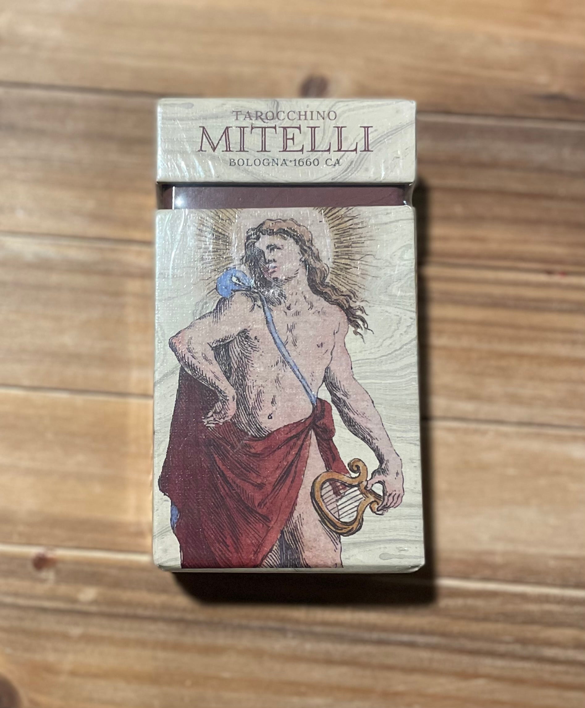 Tarocchino Mitelli anima antiqua phytognosis front cover