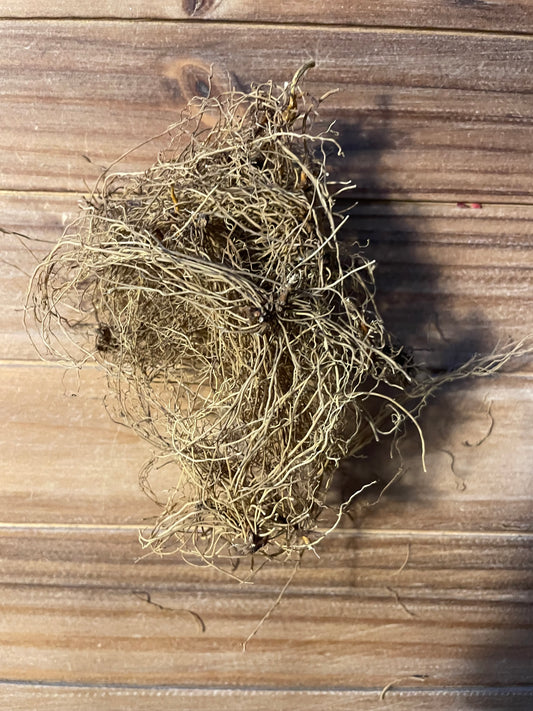 Virginia Snake Root (Aristolochia serpentaria)