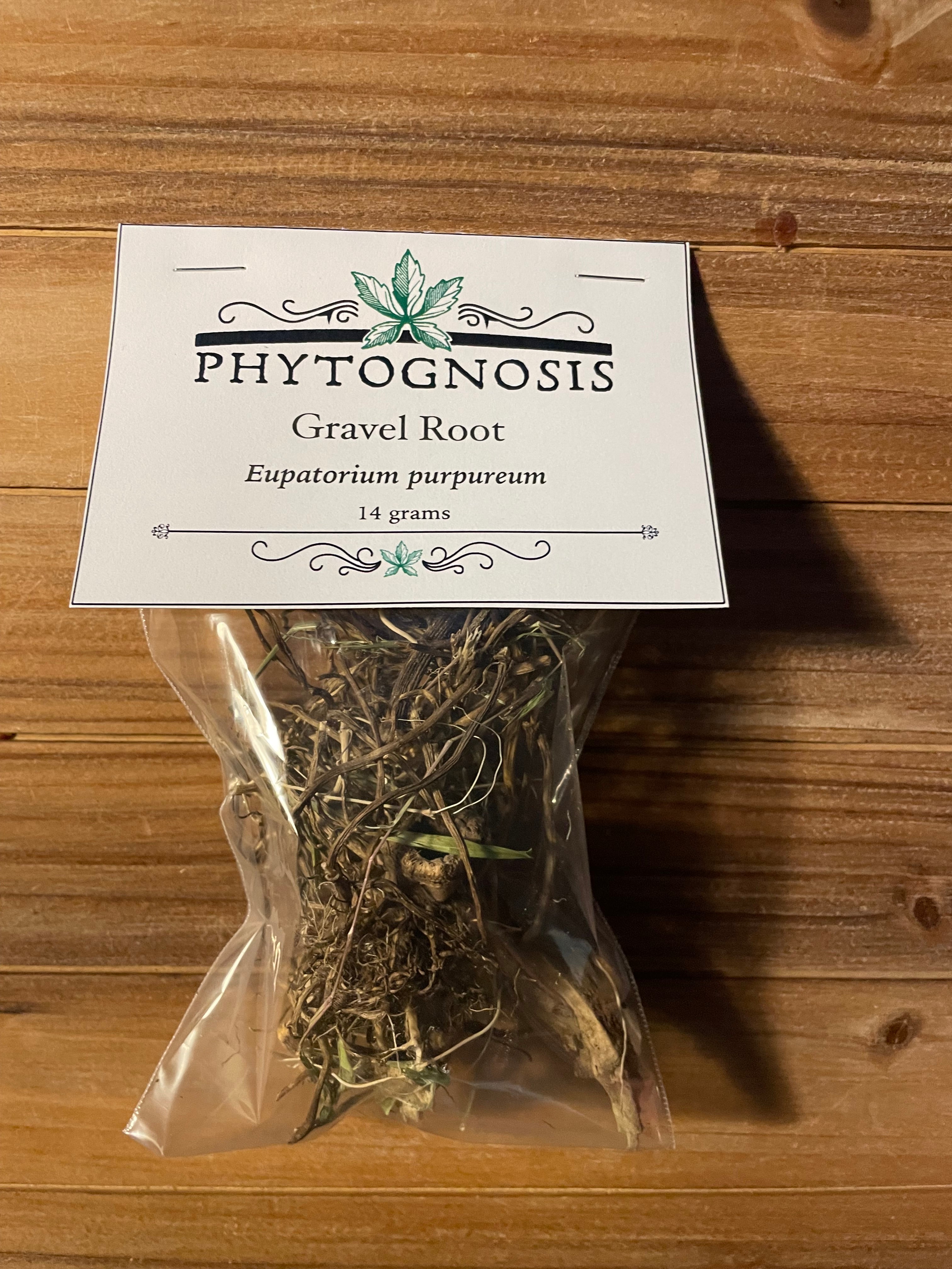 Gravel Root - Joe Pye Weed Root – Phytognosis