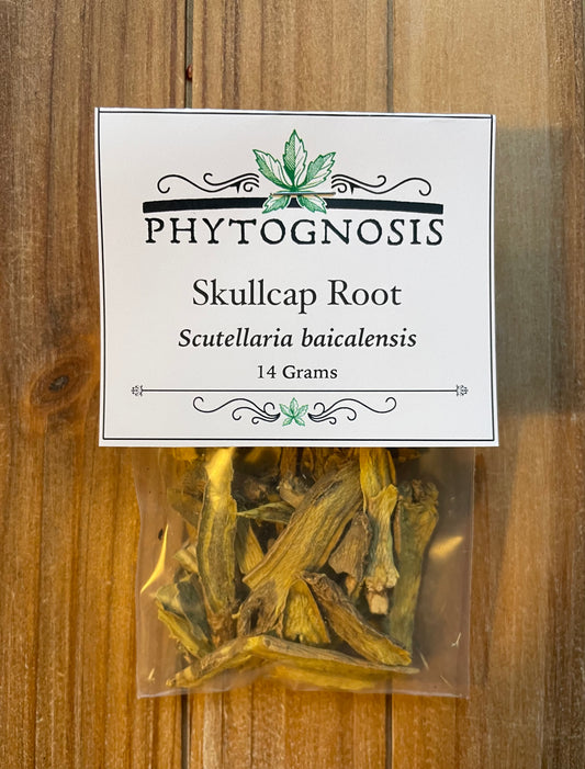 Skullcap Root for fidelity spells money drawing and protection magic in Hoodoo and witchcraft rituals