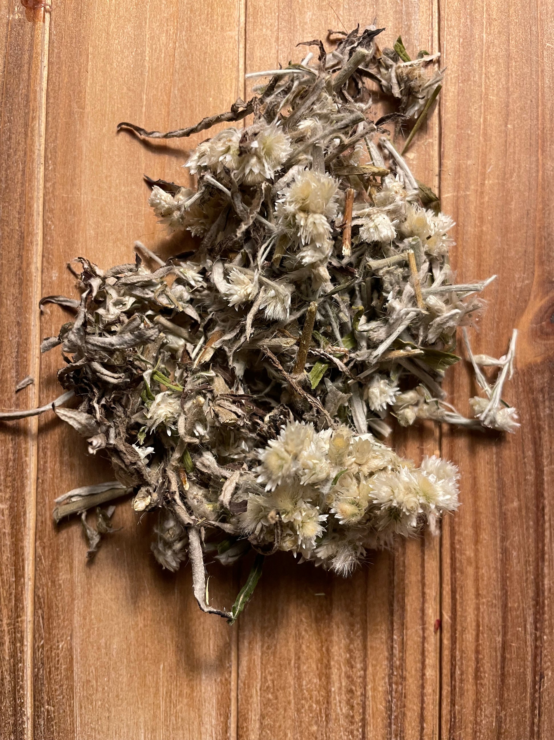 Premium Life Everlasting herb for smudging ghost banishing and Native American spiritual protection rituals