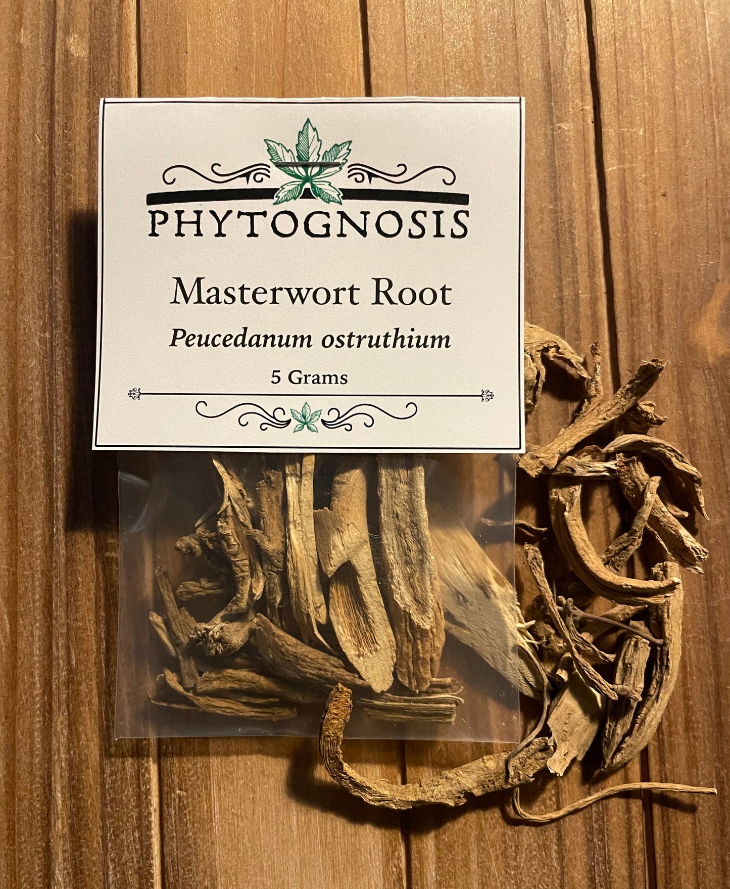 Masterwort Root (Peucedanum ostruthium)