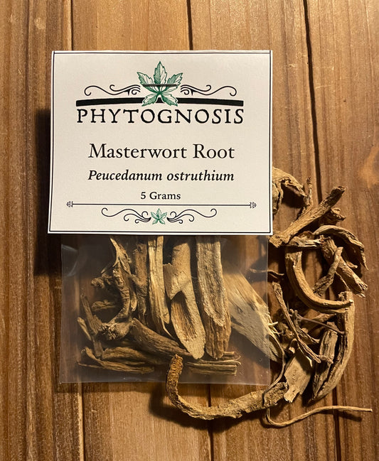 Masterwort Root (Peucedanum ostruthium)