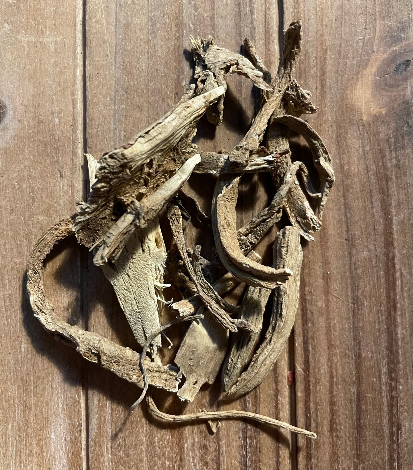Masterwort Root (Peucedanum ostruthium)