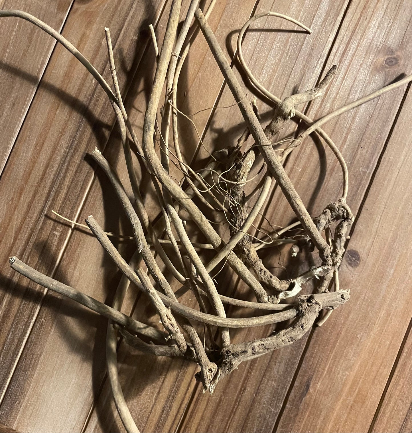 Devil's Shoestring Root