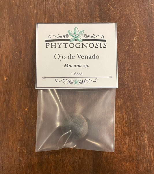 Mucuna pruriens Deer's Eye seed single natural unaltered seed, traditional Mexican protective folk charm curio