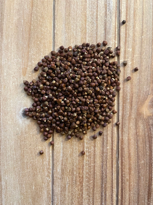 Grains of Paradise