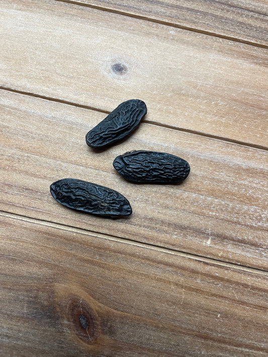 Phytognosis Tonka Beans