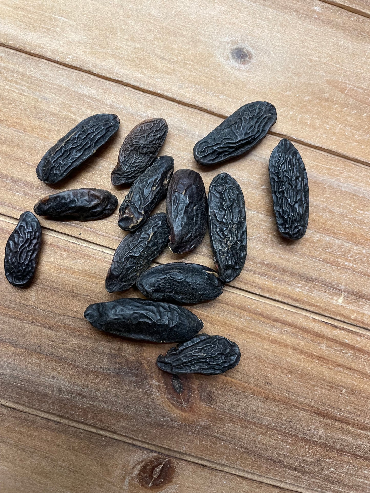 Phytognosis tonka beans multiple