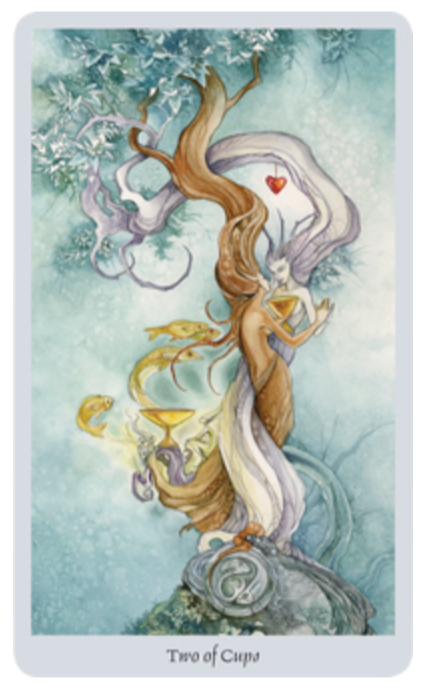 Shadowscapes Tarot Deck