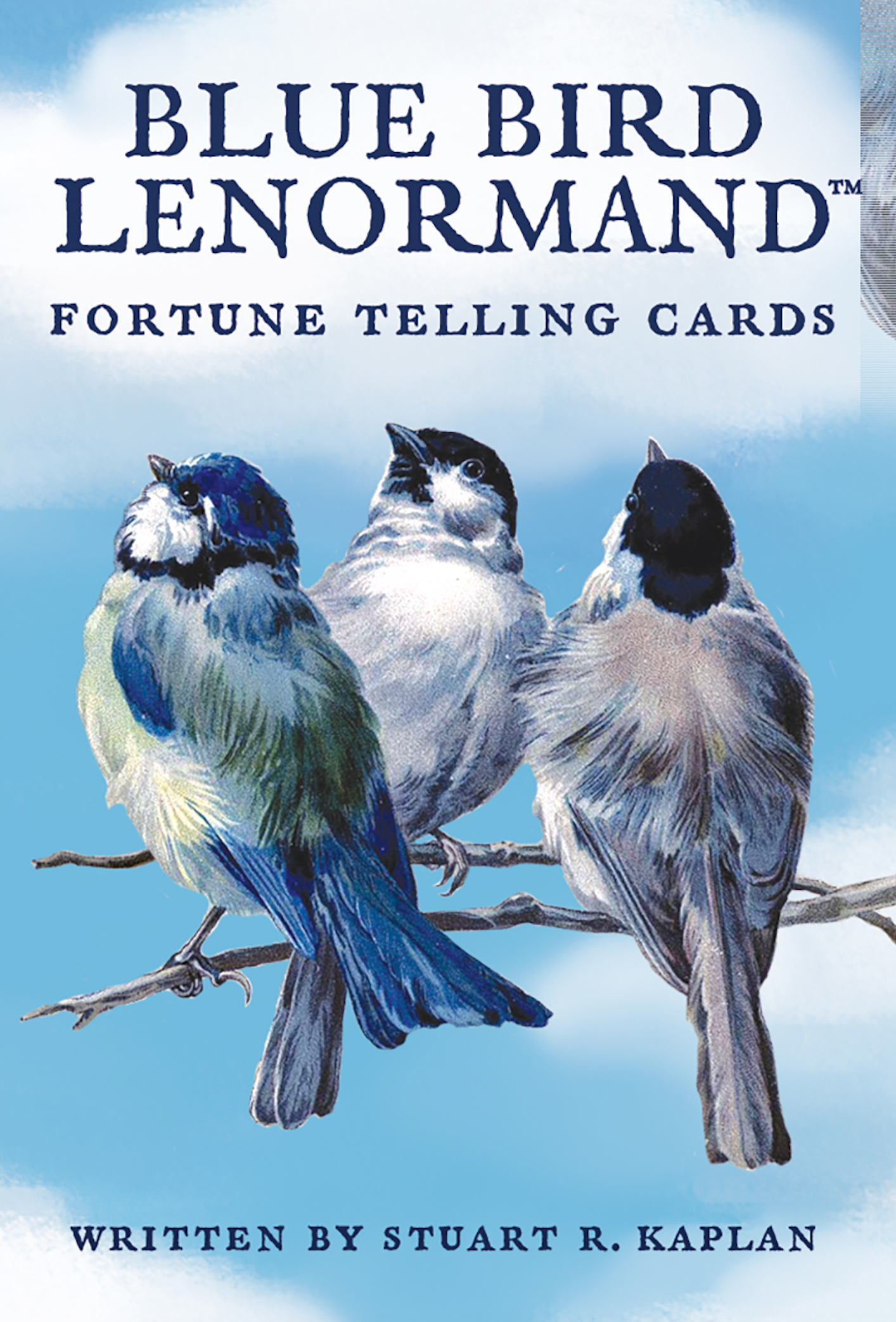 Blue Bird Lenormand Cards