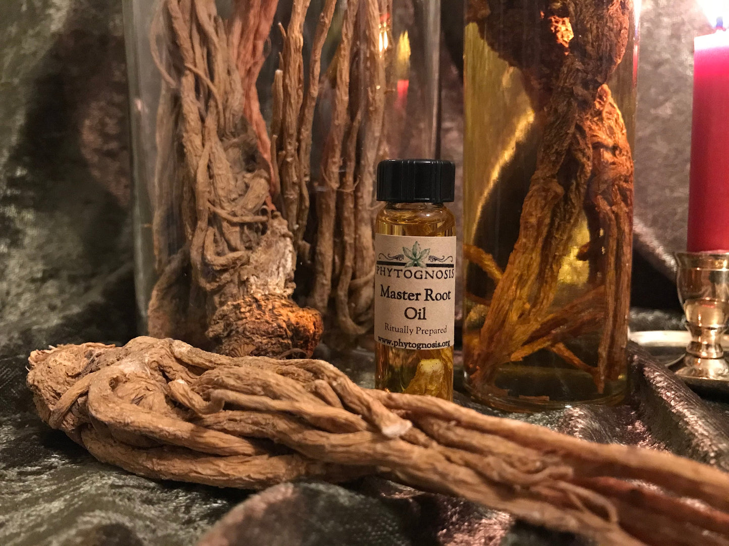 Master Root Oil - A Hoodoo traditional oil for mastery over all things and enhancing psychic potency