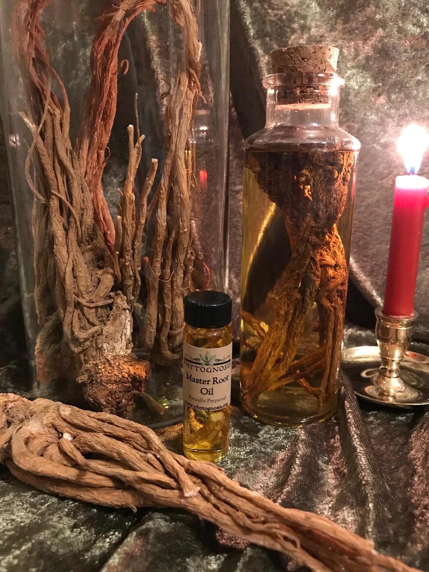 Master Root Oil - A Hoodoo traditional oil for mastery over all things and enhancing psychic potency