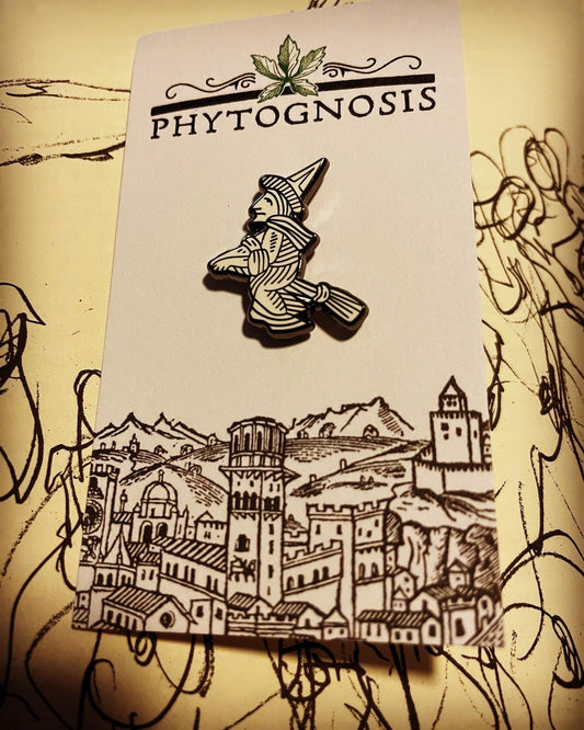 Midnight Flight Witch Pin