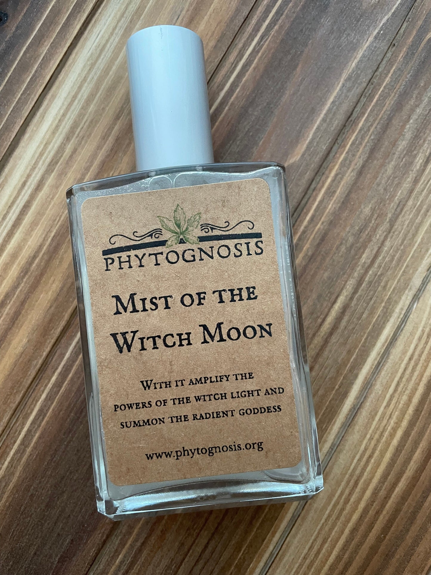 Mist of the Witch Moon