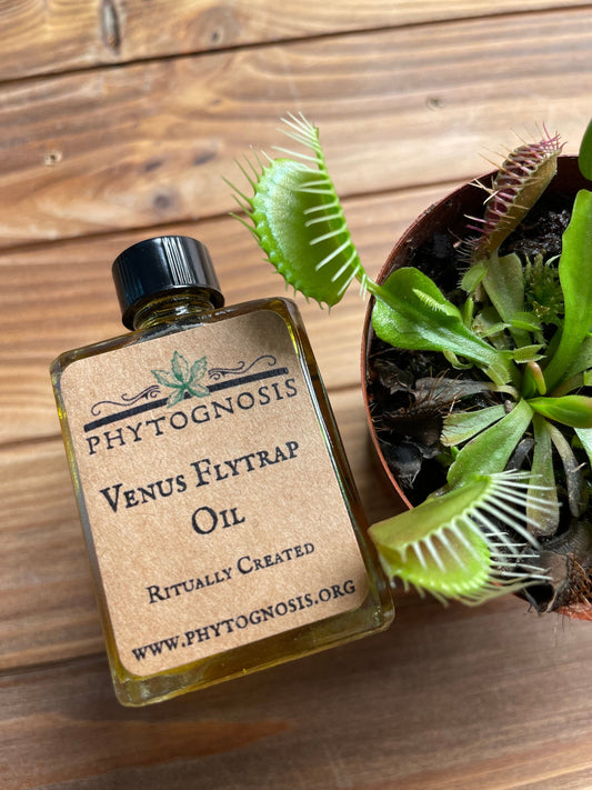 Venus Fly Trap Conjure Oil - For capturing your desires and locking onto them tightly.